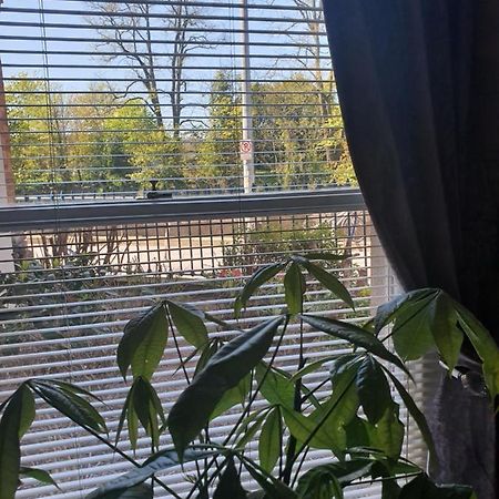 River View Apartment Suite 코크 외부 사진