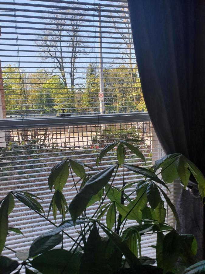 River View Apartment Suite 코크 외부 사진